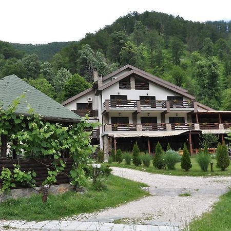 Pensiunea Valahia Brezoi Extérieur photo