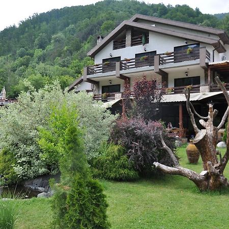 Pensiunea Valahia Brezoi Extérieur photo