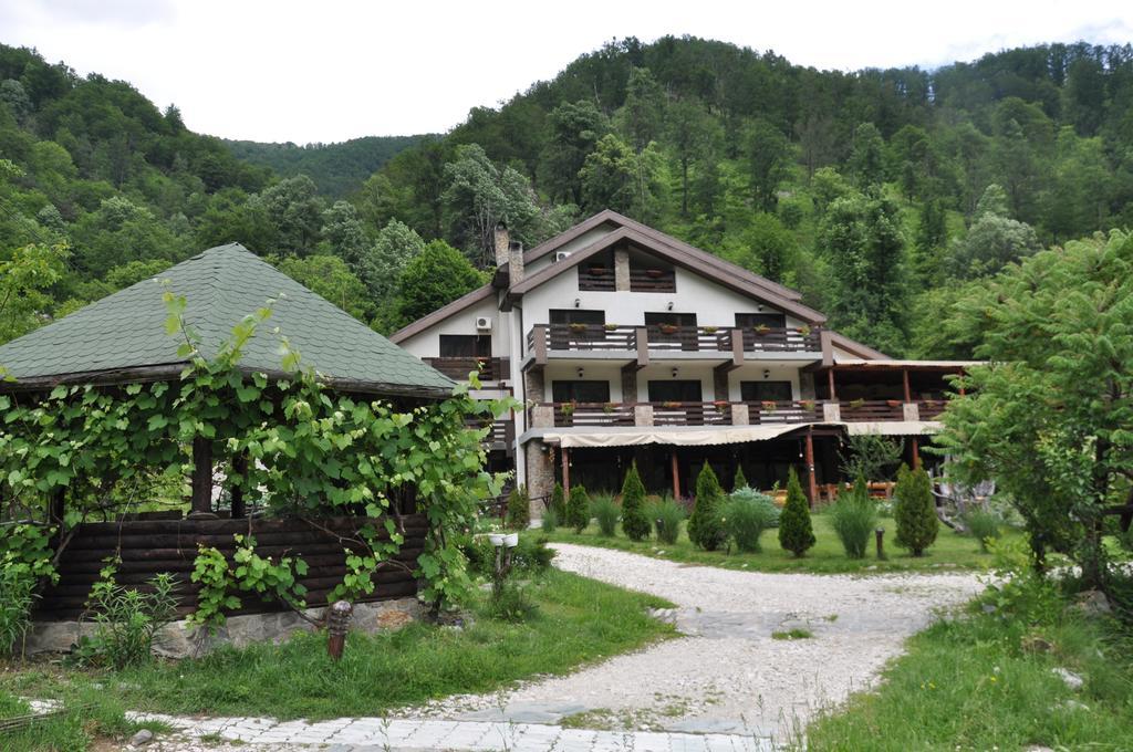 Pensiunea Valahia Brezoi Extérieur photo