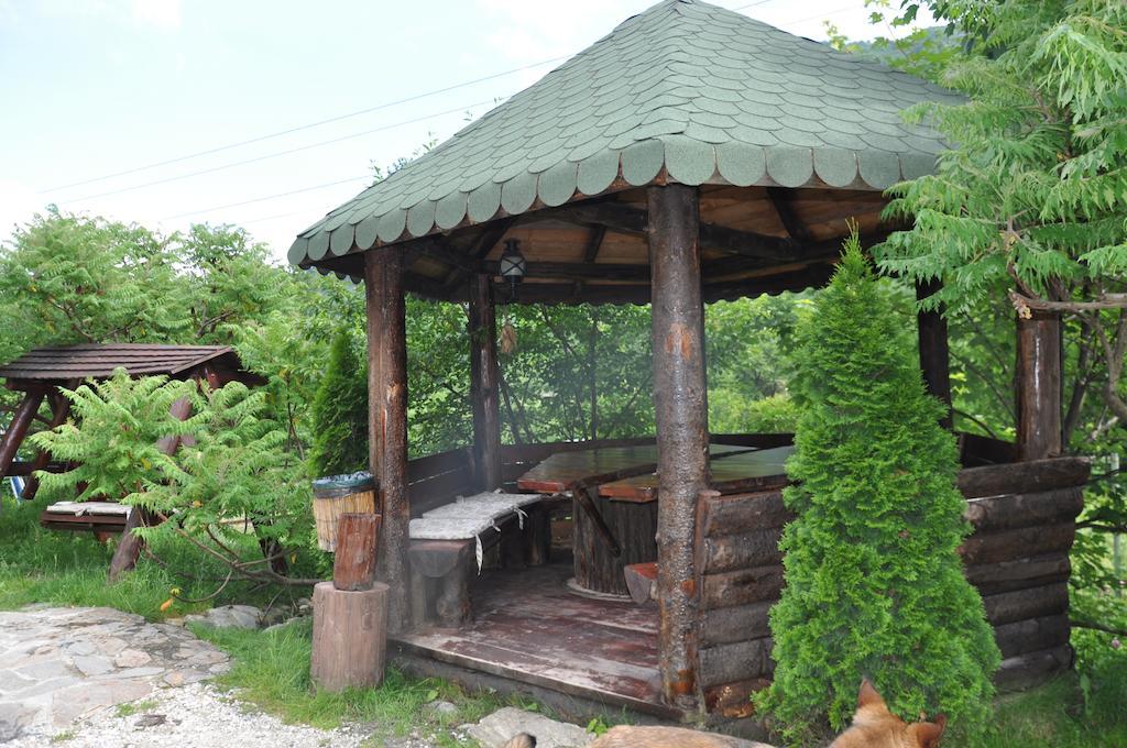 Pensiunea Valahia Brezoi Extérieur photo